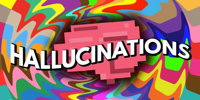 Inside the Hallucinating Brain