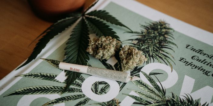 Cannabis Could Help Reduce Diabetes Risk in Hepatitis C Patients