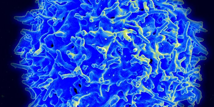 TSRI Scientists Identify Protein Behind Immune System ‘Shut Down'