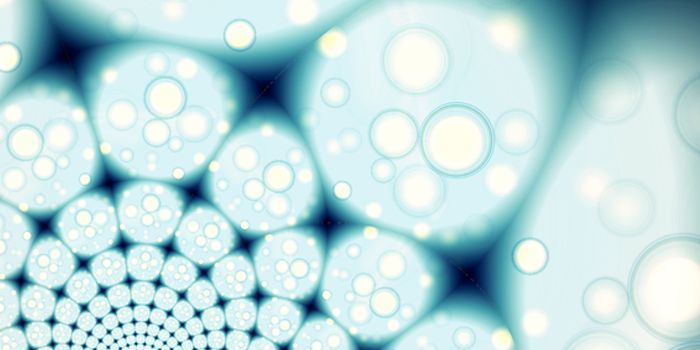 We've Lost About Half of the Gut Bacteria in Our Primate Ancestors