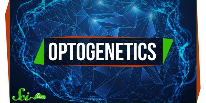 Lighting Up the Brain With Optogenetics