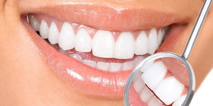 Open wide! Bacteria to keep you cavity-free