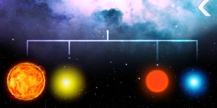 A Family Tree for Stars