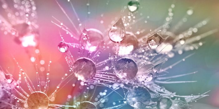 The mysteries of tiny surfing robots revealed