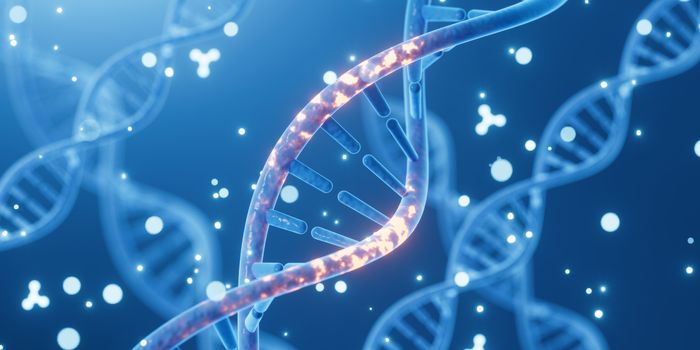 DNA melting temperature analysis using UV-Vis spectroscopy