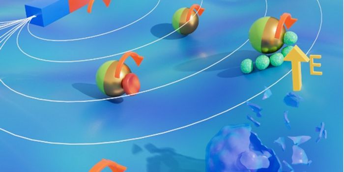 New Cell-Sized Micro-Robot Can Identify and Capture Other Cells