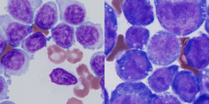 How Can We Improve Vaccines Based on Natural Immune Trends?