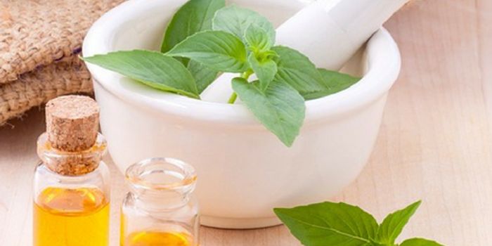 Can Food Be Prescribed?