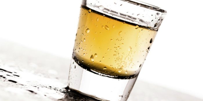 More than 900 genes linked to alcoholism in rats