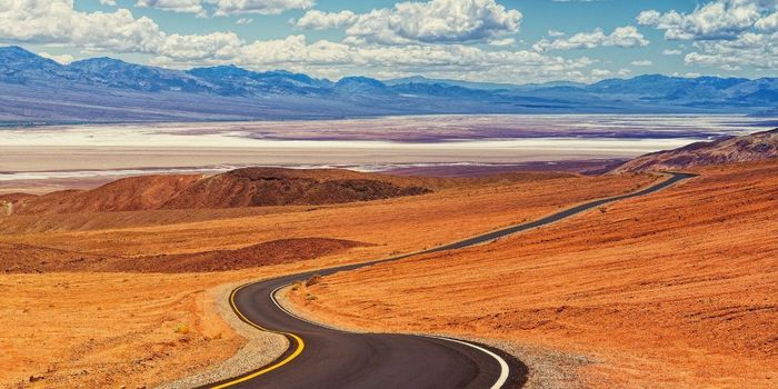 What Temperature is a Problem for Life on Earth?