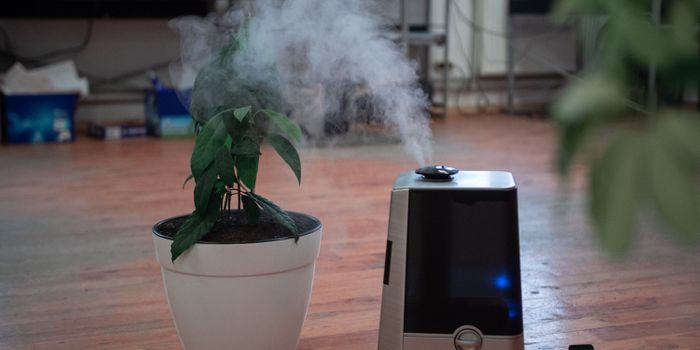 Air purifiers may increase the spread of viral transmission, not hinder it