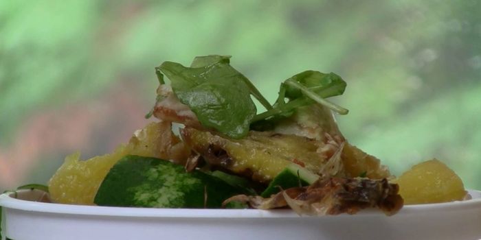 Food Waste Takes a Toll on the Environment