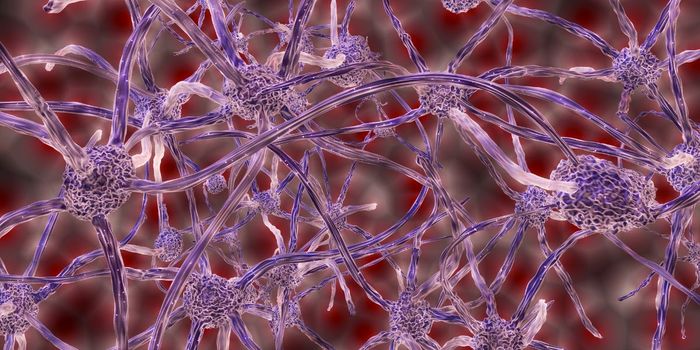 New Way to Restore Fatty Myelin Sheaths on Nerve Cells