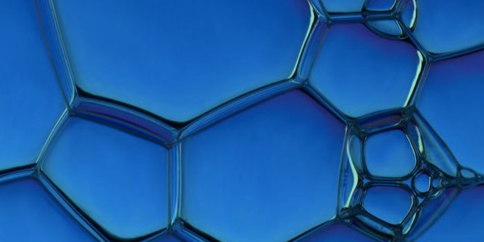 Bacteria & Fungi Come Together in Endosymbiosis Study