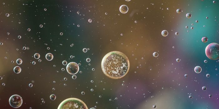 An Antibody 'Decoy' Could Pave the Way for Better Immunotherapy