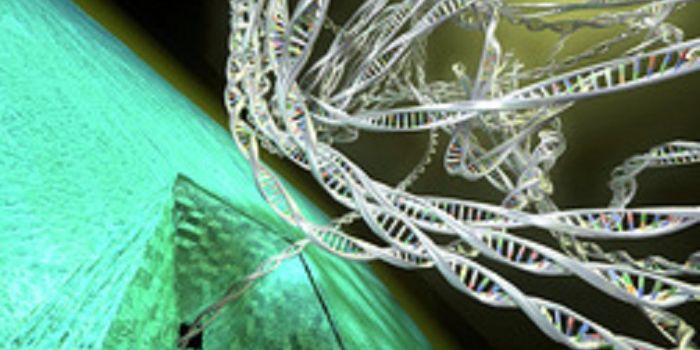 Use of Nanopore Technology Provides Better and Cheaper DNA Sequencing