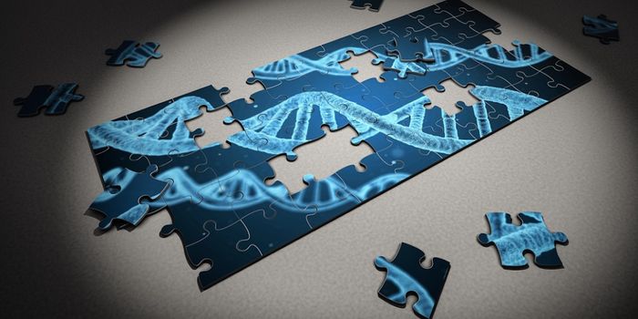 How Autism-Associated Mutations in One Gene Impact the Brain