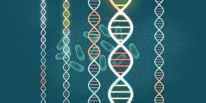 Does Viral DNA in the Human Genome Cause Disease?