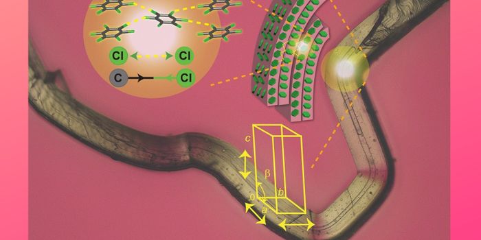 "Jumping Crystals" the Microscopic Acrobats