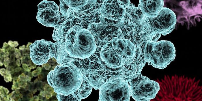 About the Microbiome