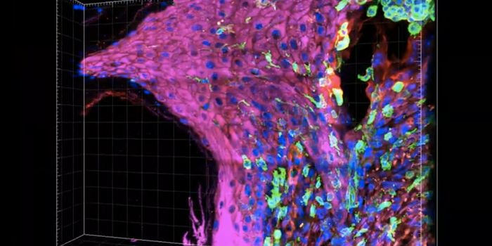 Understanding How Loose RNA Molecules Help Rejuvenate Skin