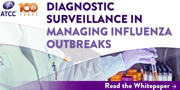 Human and Avian Influenza: Challenges, Risks, and Solutions