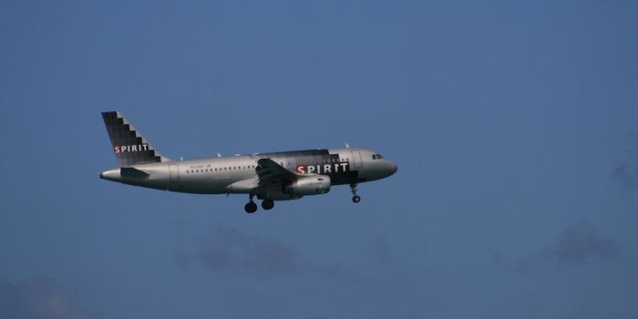 Nobel in Medicine Awarded for Circadian Rhythm Discoveries