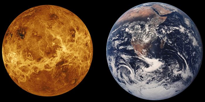 Planetary Scientists Want to Explore Venus Again