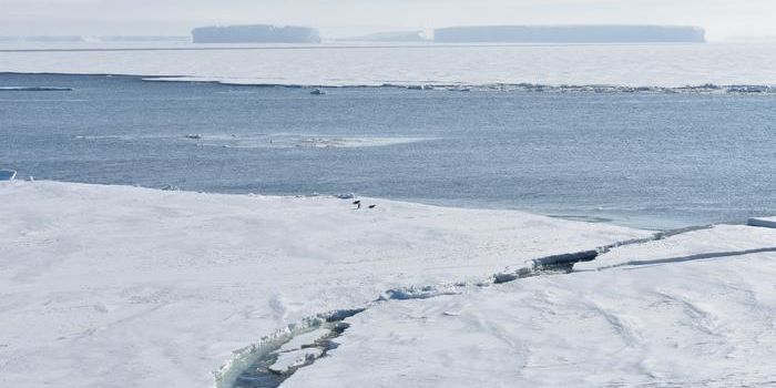 Deep Warmth Breaches Antarctic Sea Ice Shield