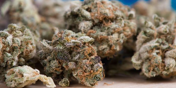 How Not to Get Arrested when Traveling with Medical Marijuana