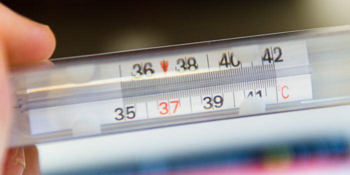 More Evidence Cannabis Can Calm a Cytokine Storm