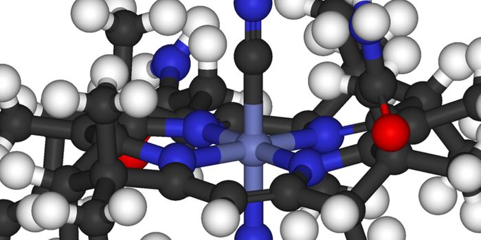 Scientists Diagnose Rare Condition Affecting Vitamin B12 Processing