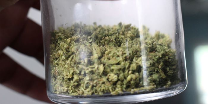 Delta-8 THC: A Cause For Concern