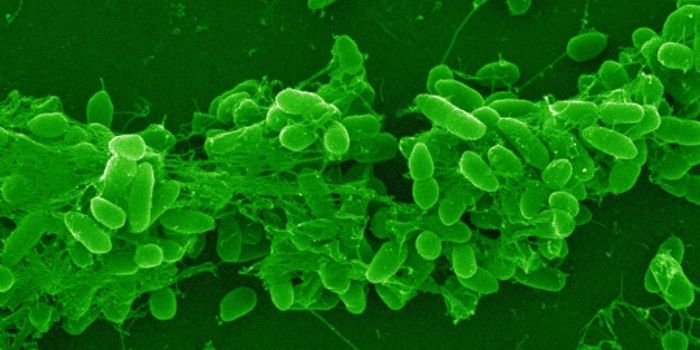"Auto-poisoning" boosts biofilm production