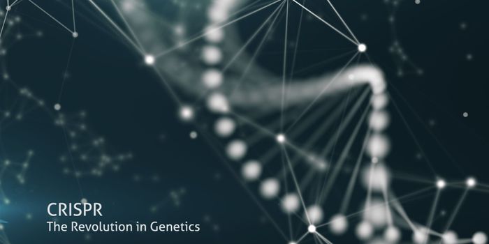 CRISPR: The Revolution in Genetics