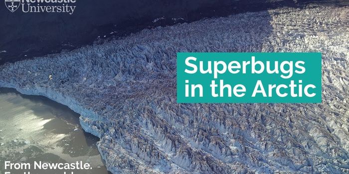 Antibiotic Resistance Genes Have Been Found in the Arctic