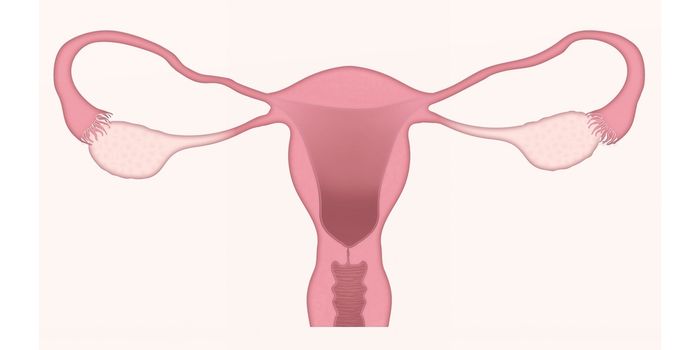 Pathophysiology, Diagnosis, and Treatment of Cervical Cancer