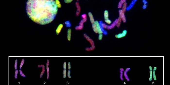 New Software Expedites Population-Scale Genomic Analysis: Dramatically cuts time needed to scour patient