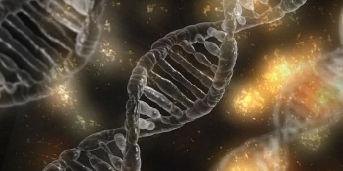 Transcriptional Regulator BEND3 Found to Control Cell Differentiation