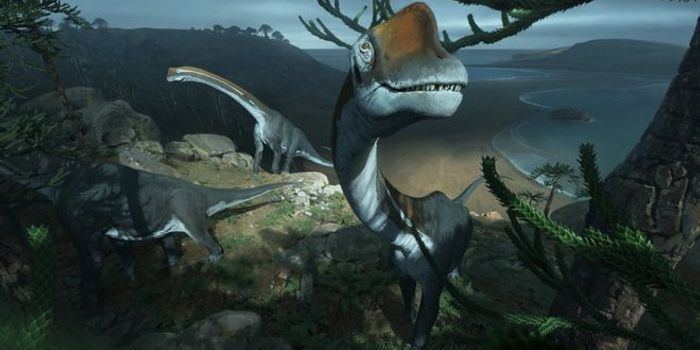 Overlooked Dinosaur Fossil Turns Out to be a New Species