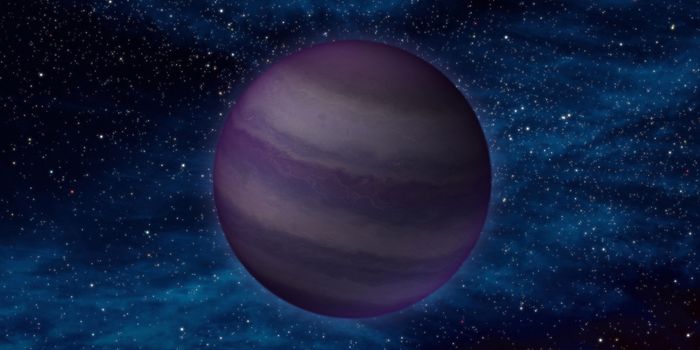 There Are Probably Several Brown Dwarfs in Our Solar Neighborhood