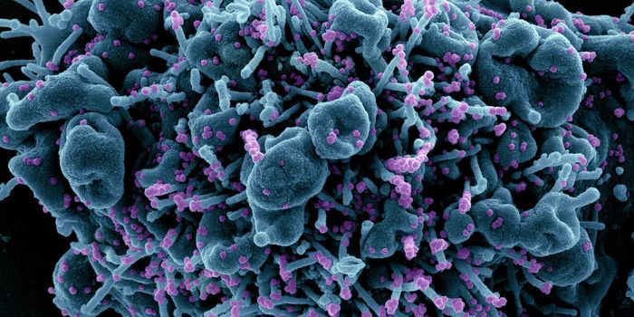 Another Study Shows Ivermectin Does Not Treat COVID-19