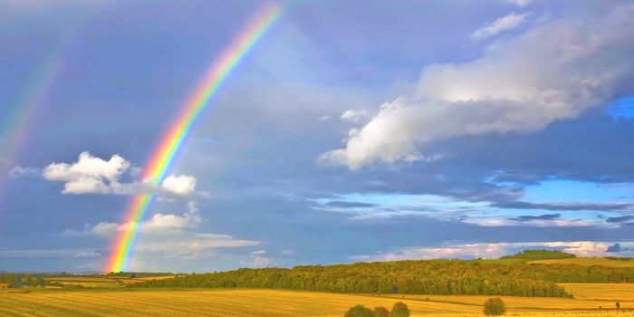 The Sweet Smell of Rain