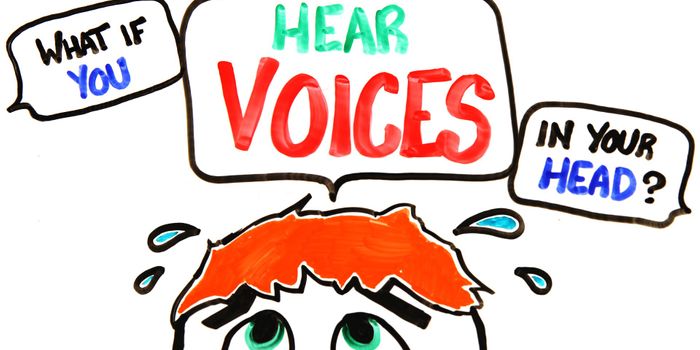 What should you make of the voices in your head?