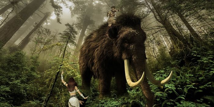 Were Neandertals carnivores?