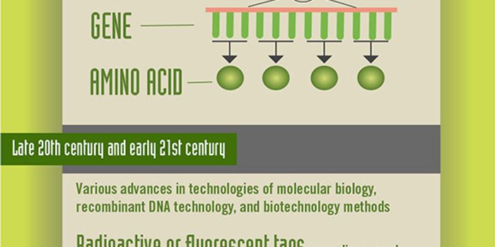 The History of Genetics