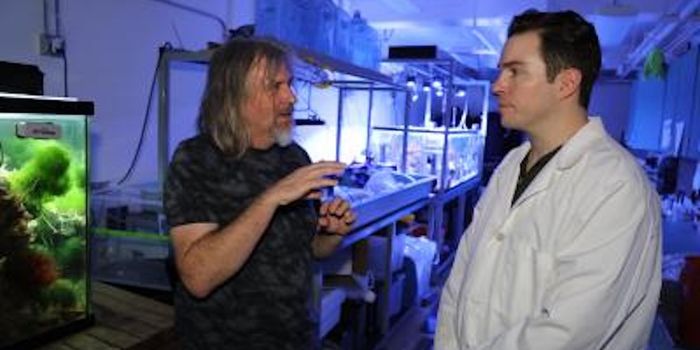 Using Food to 'Sculpt' the Gut Microbiome