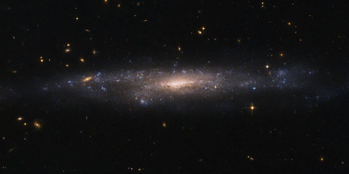 Hubble Image Shows Low Surface Brightness Galaxy in Vivid Detail