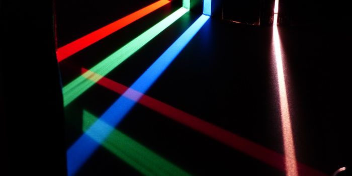 The Structure of Immunity