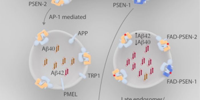 Alzheimer's Disease: The Role of Presenilin 2